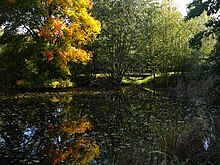 Herbstimpression im Südpark