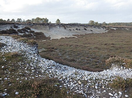 Flint gravels of the Westleton Member exposed in an old quarry on Westleton Heath, Suffolk, UK; thought to have been largely deposited in tidal inlets younger than the Baventian cold stage. Westleton Beds on Westleton Heath, Suffolk.jpg