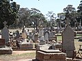 White Hills Cemetery Section E3.jpg