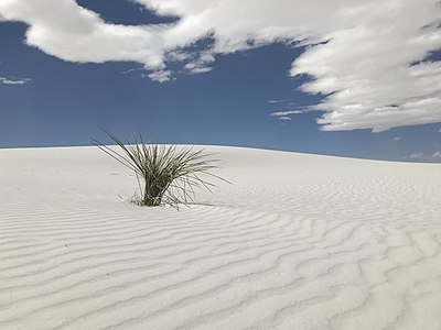 10th: White Sands National Monument, byMacadelic10