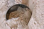Thumbnail for Whole-wheat flour