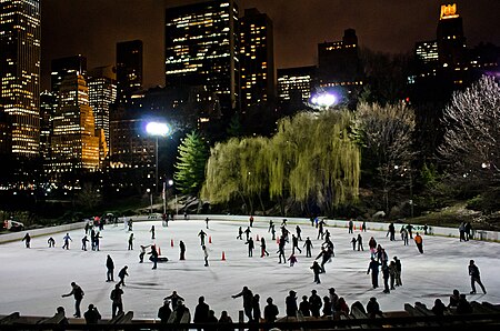 Tập_tin:WollmanRink.jpg