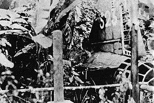 Yamamoto's Mitsubishi "Betty" bomber in the jungle of Bougainville Yamamoto's airplane crash.jpg