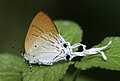 於 2020年5月21日 (四) 10:28 版本的縮圖