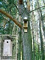 Example of poor fastening of nestbox's front