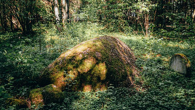 Asanaŭski boulder. Photograph: Chaika Alexander