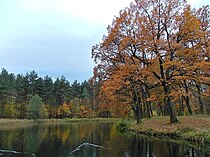 Vista autunnale presso lo stagno