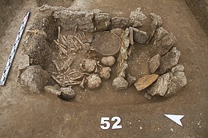 Погребение Майкопской культуры (IV тыс. до н.э.) 11.JPG