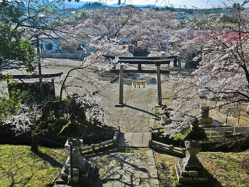 File:田村神社前の桜 上から.jpg