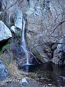 The first glimpse of the lower falls from the trail. Note the ferns.