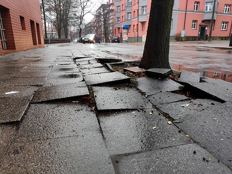 File:031 Sidewalk environmental damage - dangerous sidewalk with concrete paving tiles, Bytom, Poland.jpg