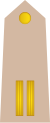 05-Somali Army-WO2.svg