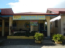 Barangay Salonu