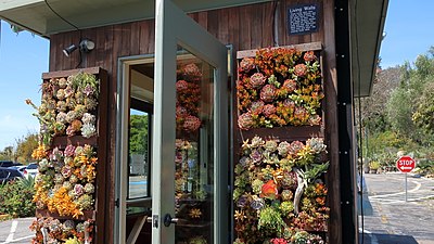 L'entrée et son mur vivant de plantes succulentes