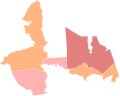 1996 TX-08 general election