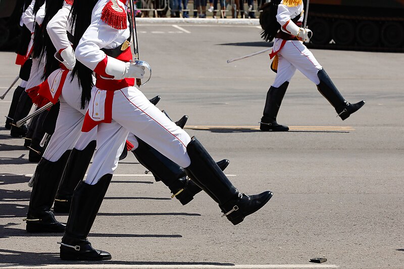 File:19 04 2022 Cerimônia do Dia do Exército, com a Imposição da