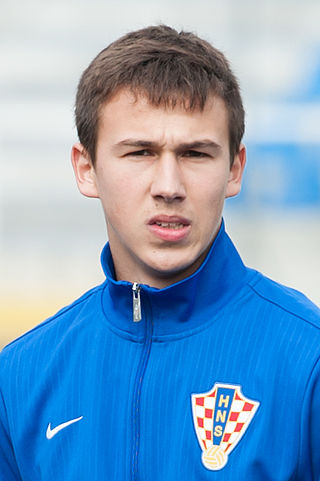 <span class="mw-page-title-main">Ivan Fiolić</span> Croatian footballer