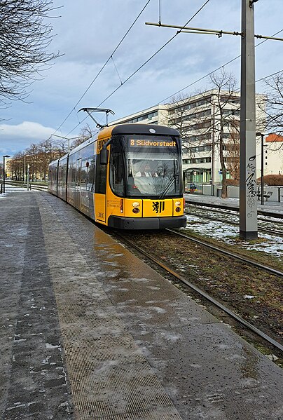 File:20240122.Albertstraße Dresden.-02.jpg