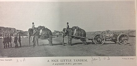 40-pounder RML as part of a Royal Artillery Elephant Battery, India, 1900 40 Pounder RML - Elephant battery, 1900.jpg