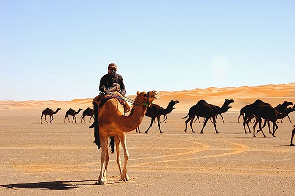 A caravan crossing Ad-Dahna Desert in central Saudi Arabia
