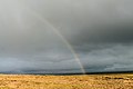 A rainbow in tundra.jpg