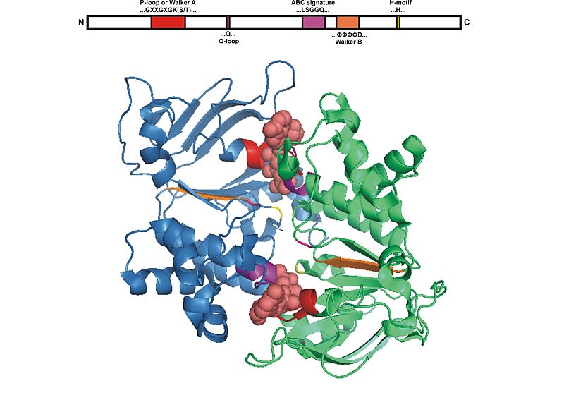 File:Abc domain.jpg