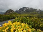 Access road to the Silvermine nature reserve - panoramio.jpg