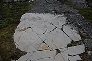 English: Rock art in the world heritage area in Alta, Norway. This is from the area Bergbukten 2, a group of some 40 figures. 18-19 m above sea level, and 5000-6000 years old.