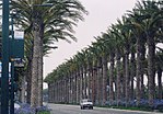 Thumbnail for Anaheim (Kalifornje)