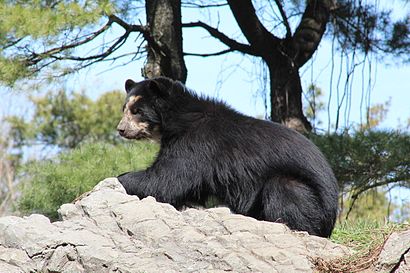 How to get to Queens Zoo with public transit - About the place