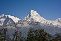 Annapurna vista sur.jpg