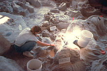 Ashfall Fossil Beds - Wikipedia