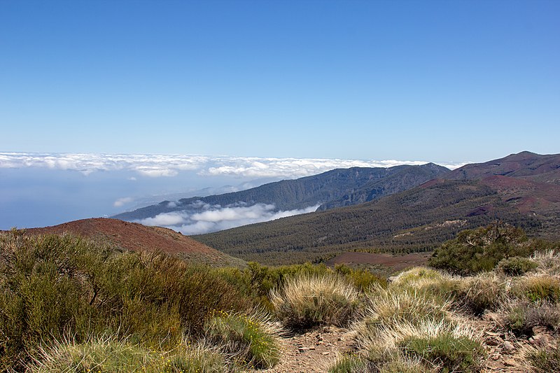 File:At Teide National Park 2019 010.jpg