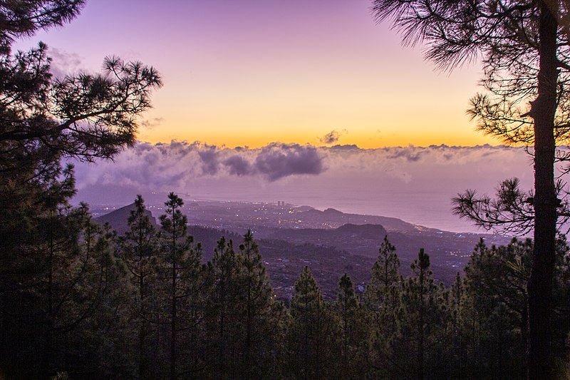 File:At Tenerife 2019 649.jpg