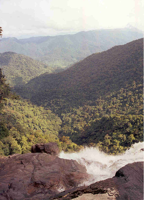 Bạch Mã National Park things to do in Hòa Xuân Nam