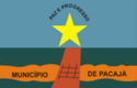 Bandeira de Pacajá
