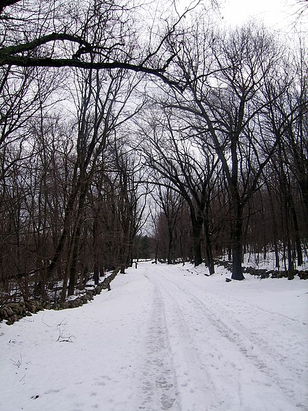 File:Battle Road Trail (2638726017).jpg