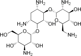 <span class="mw-page-title-main">Bekanamycin</span> Chemical compound