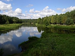 Belarus-Junction of Viliya and Narach Rivers-3.jpg