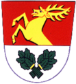 Benešov coat of arms