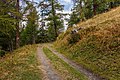 Bergtocht van Vens naar Bettex in Valle d'Aosta (Italië). Bergpad naar Bettex.