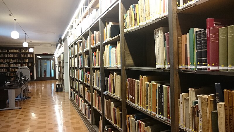 File:Biblioteca MAC Barcelona.jpg