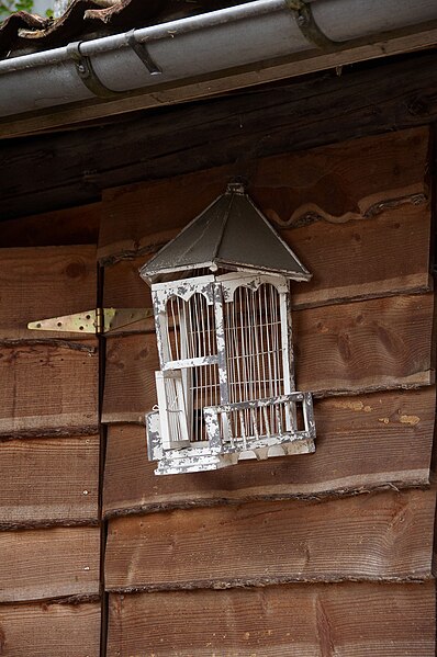 File:Bird cage A.jpg