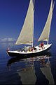 Egret-type sharpie sailing in Biscayne Bay, Florida