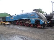 Ropley-dagi Bittern marafoni (Geograf 4655477) .jpg