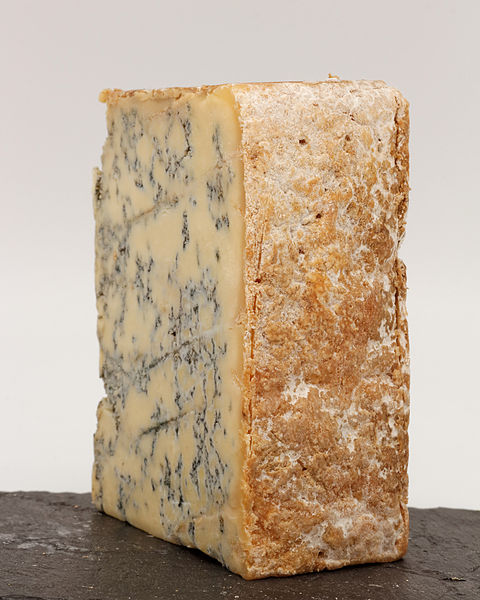 Slice of a Blue Stilton, viewed from the rind side, showing inoculation holes