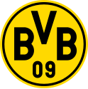 Logo des BVB