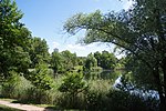 Vorschaubild für Botanischer Garten (Frankfurt (Oder))