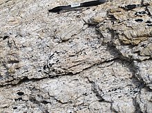 Boudinaged turmalin kristalleri ile milonitlenmiş pegmatit. Cala de Portixo yakınında, Cap de Creus bölgesi, Catalunya