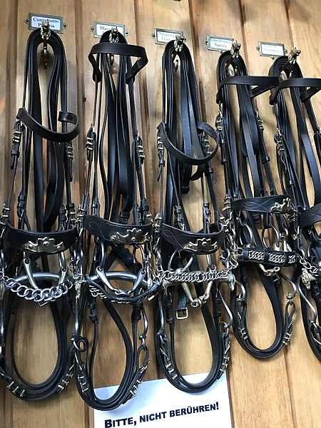 File:Bridle rack Spanish Riding School 37.jpg